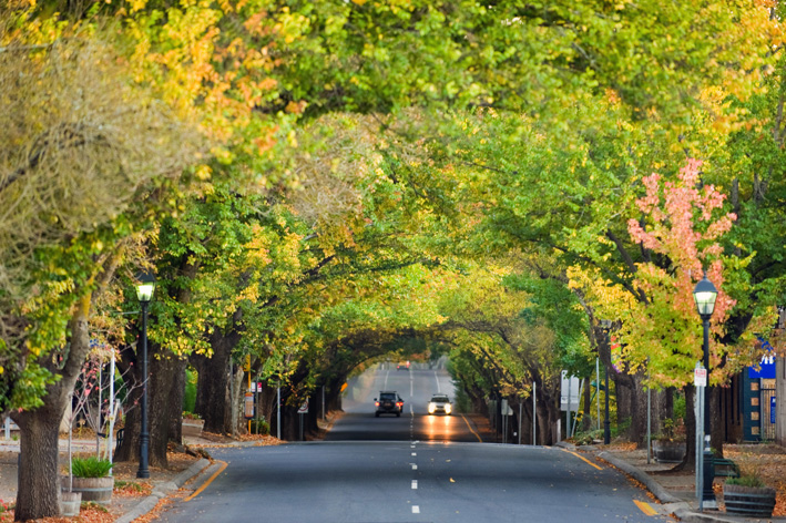 Adelaide Hills Full Day Private Wine Tour
